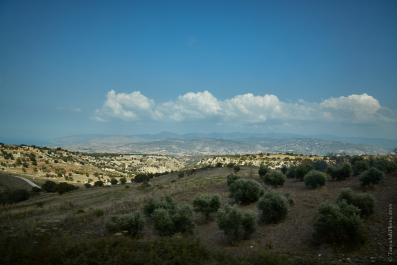 photo 1729711