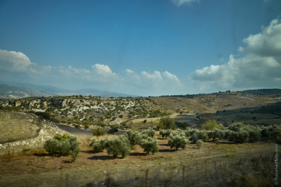 photo 1729713