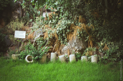 photo 1879334