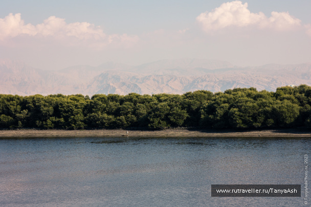 photo 2088873