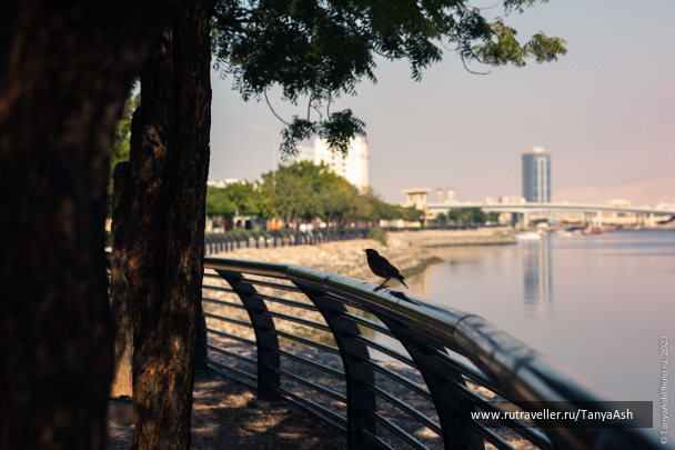 photo 2088875
