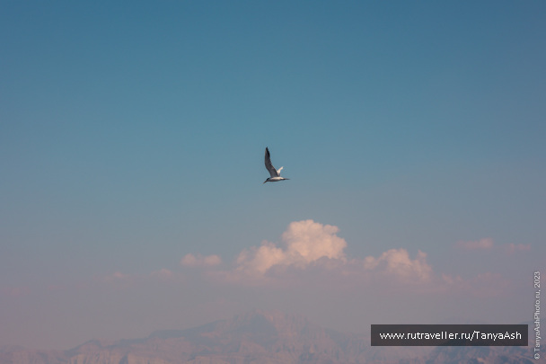 photo 2088878