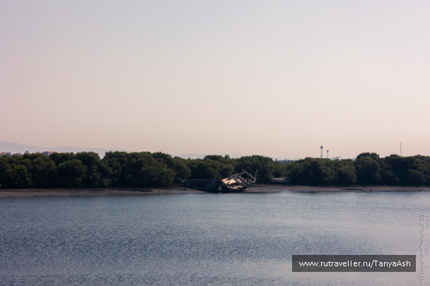 photo 2088893