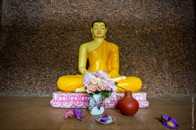 photo 2097862