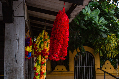 photo 2097878