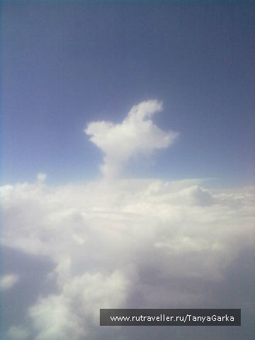 photo 104638