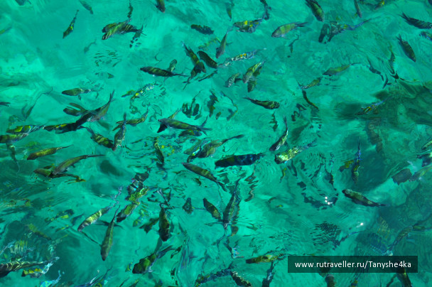 photo 234343