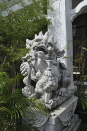 photo 496834