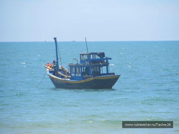 photo 1005639