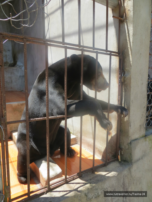 photo 1005670