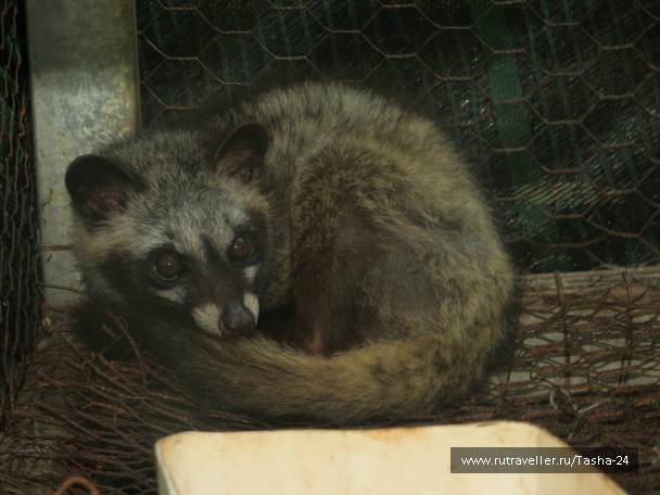 photo 1005671
