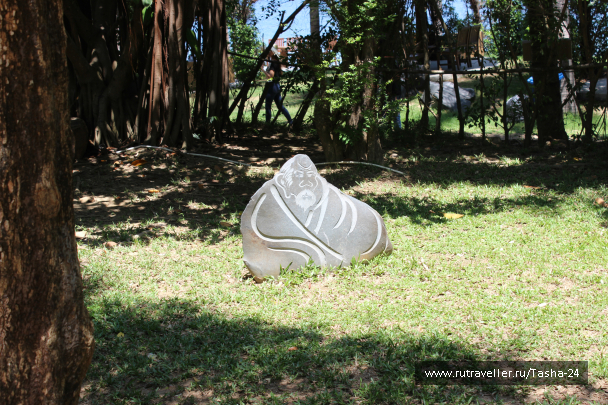 photo 1005780