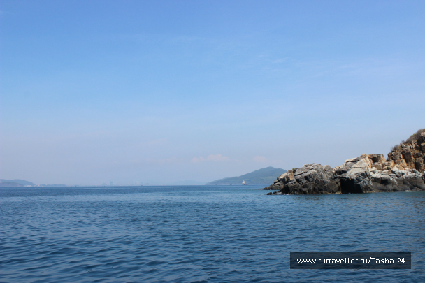 photo 1005781