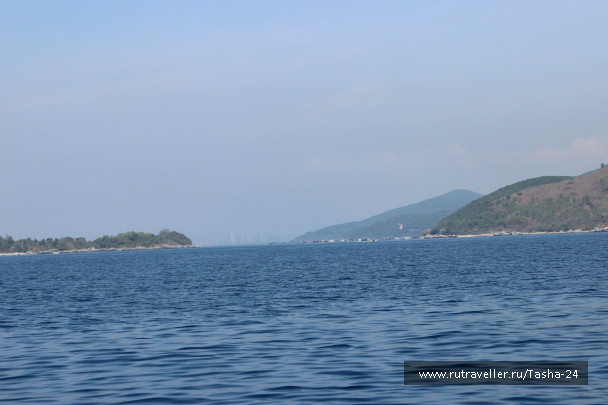 photo 1005785