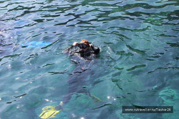 photo 1005887