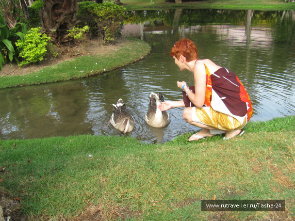 photo 992479