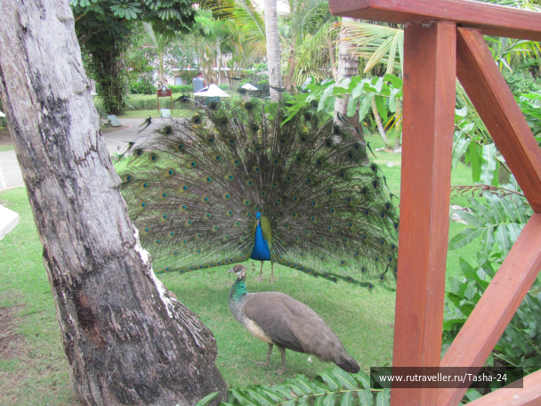 photo 992491