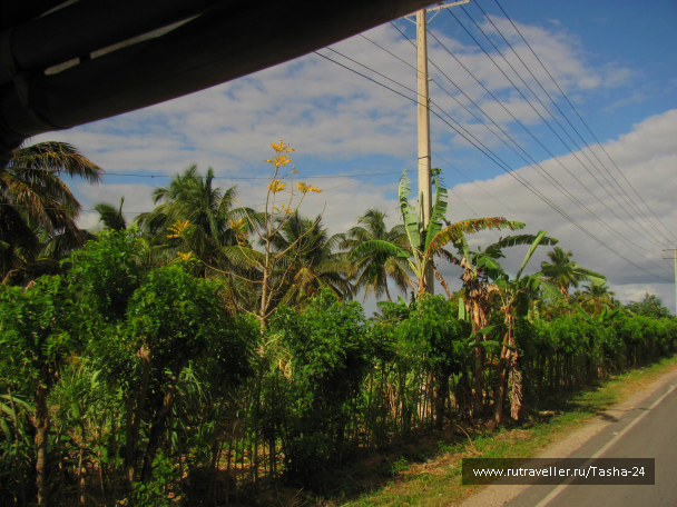 photo 993935