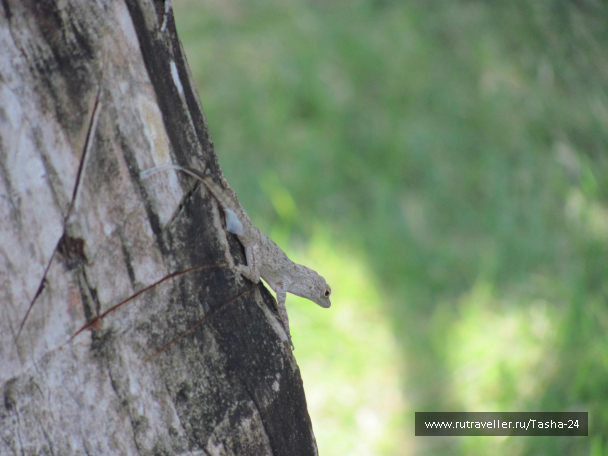 photo 993948