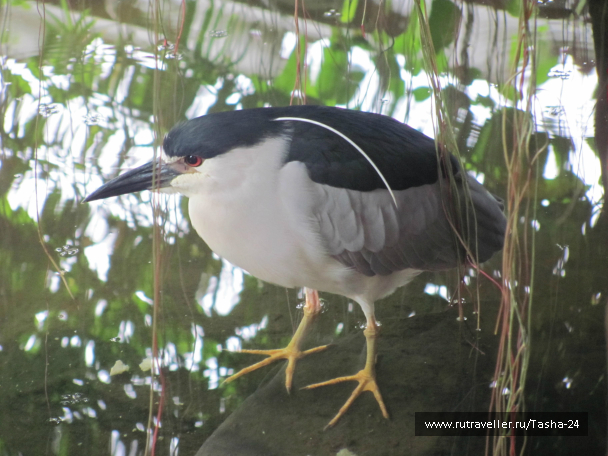 photo 993953