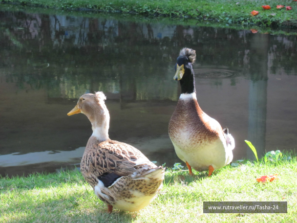 photo 993977