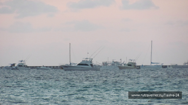 photo 993982