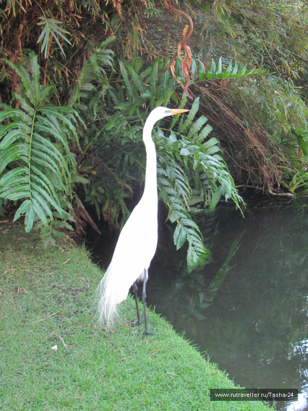 photo 993958