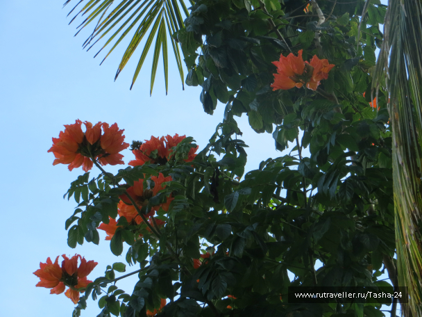 photo 992893