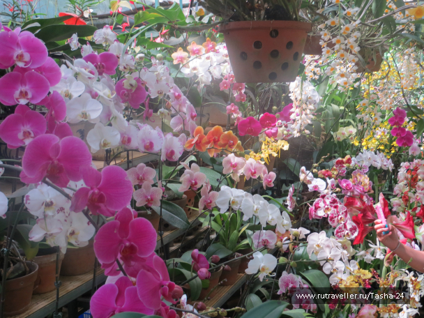 photo 992912