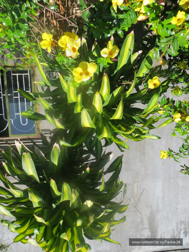 photo 992919