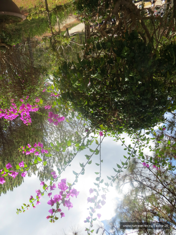 photo 992930