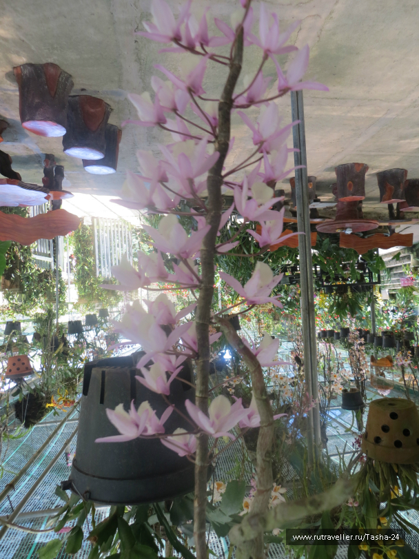 photo 992942