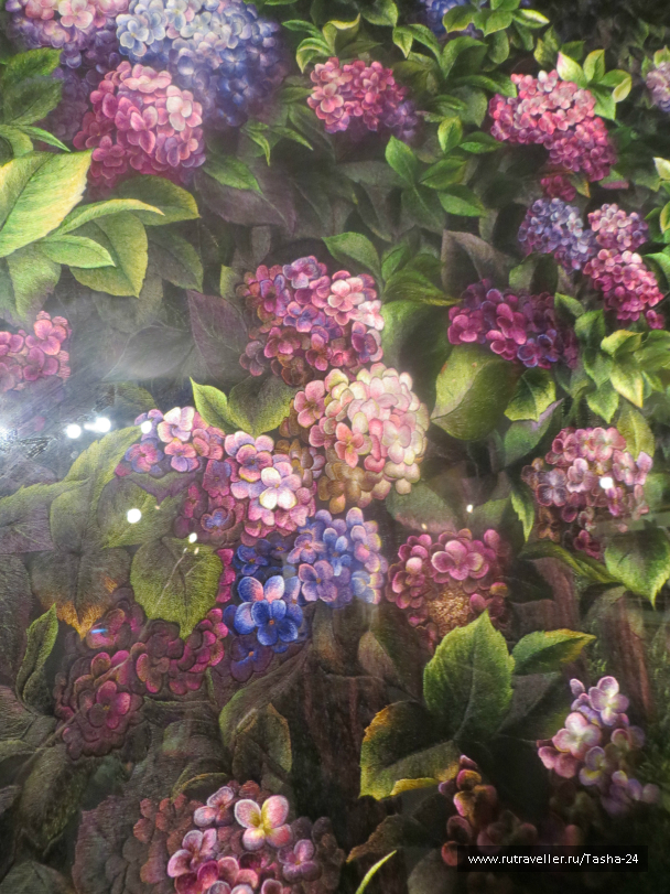 photo 992963