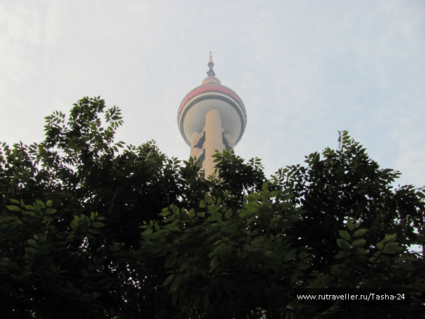 photo 993033