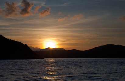 photo 237359