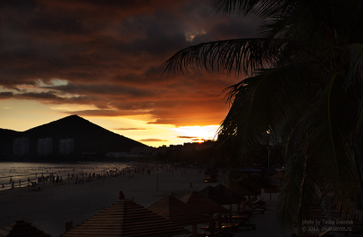 photo 246761