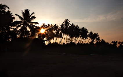 photo 299849