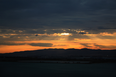 photo 229524