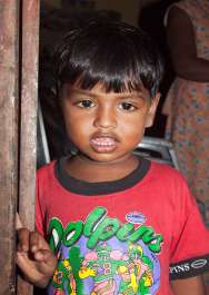 photo 300758