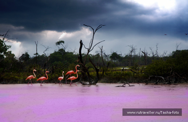 photo 442561
