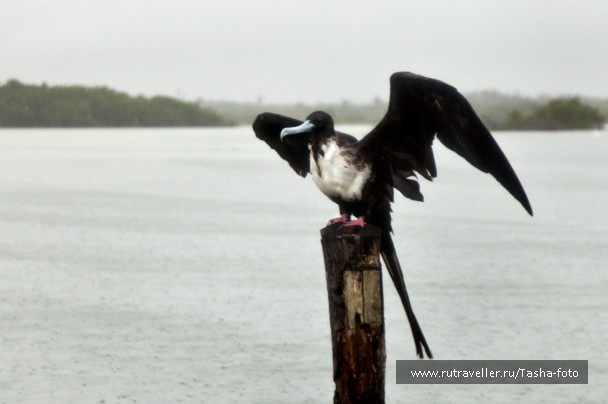photo 443353