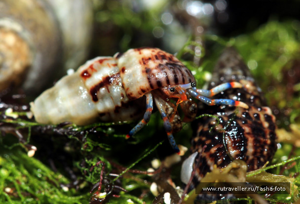 photo 444421