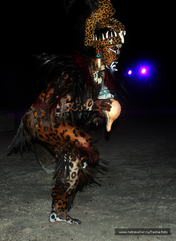 photo 445188