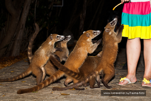 photo 446130