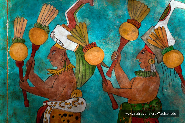 photo 446131
