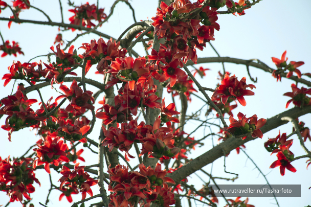 photo 696161