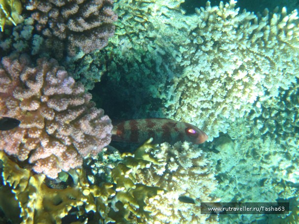 photo 919801