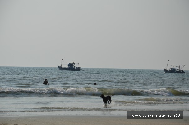 photo 785630
