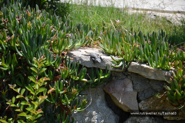 photo 786144