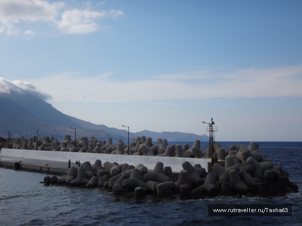 photo 1173986